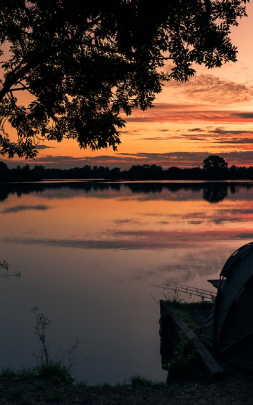 Sunset, Black Swan Lake