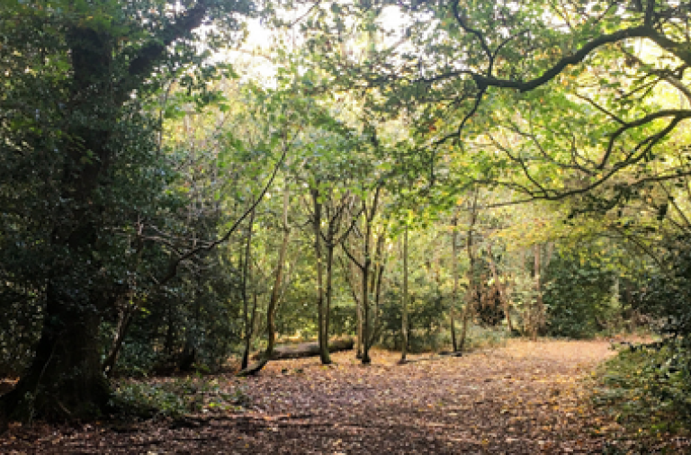 Highwood nature reserve