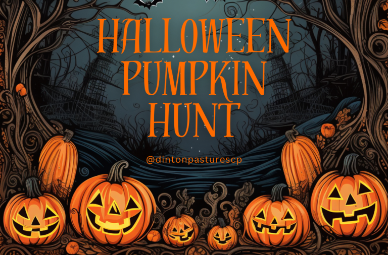 Halloween Pumpkin Hunt