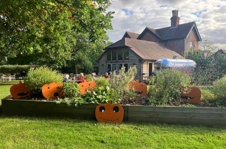 Halloween Pumpkin Hunt