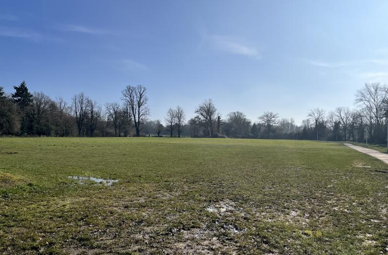 Cantley Park Events Field