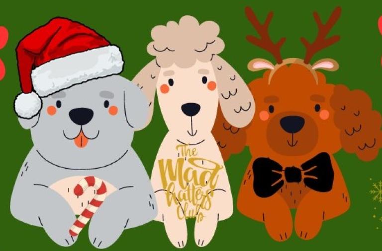 madhatters dogs