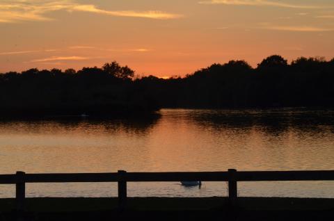Dinton Pastures Lake at sunset