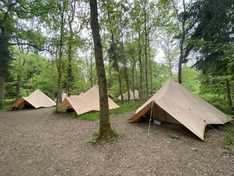 Wookdland camp