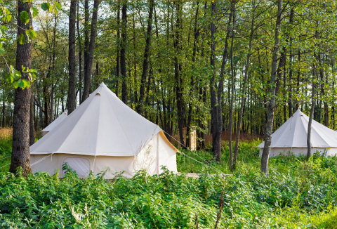 Camping