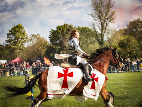 Knights of Middle England - Philip Brown