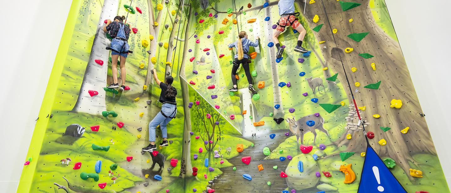 Dinton activity centre wall climbing