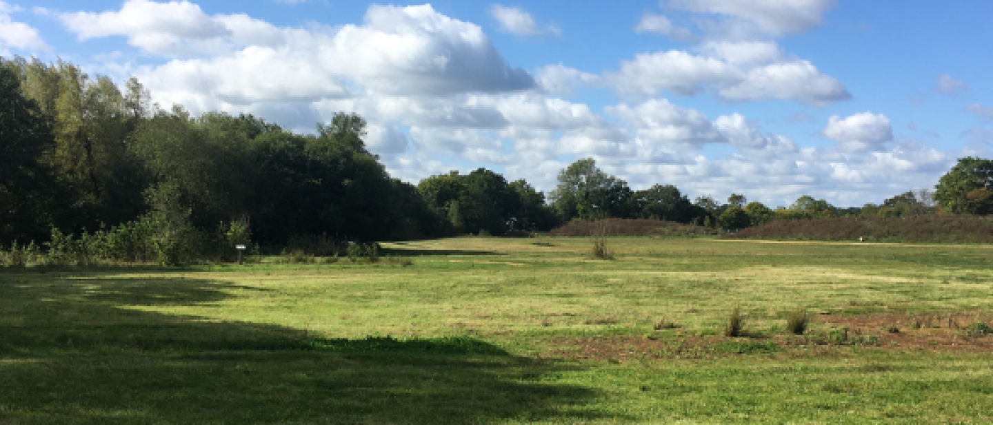 Hazebrouck meadow