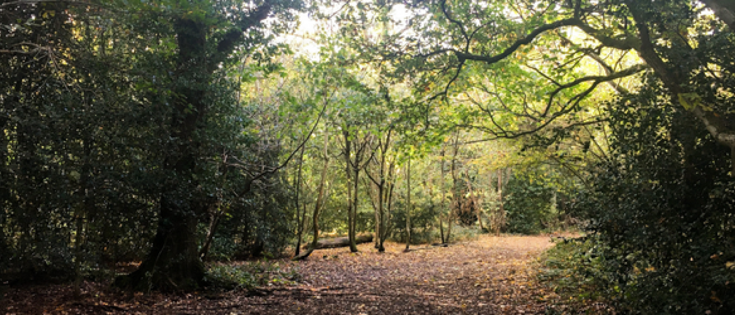 Highwood nature reserve