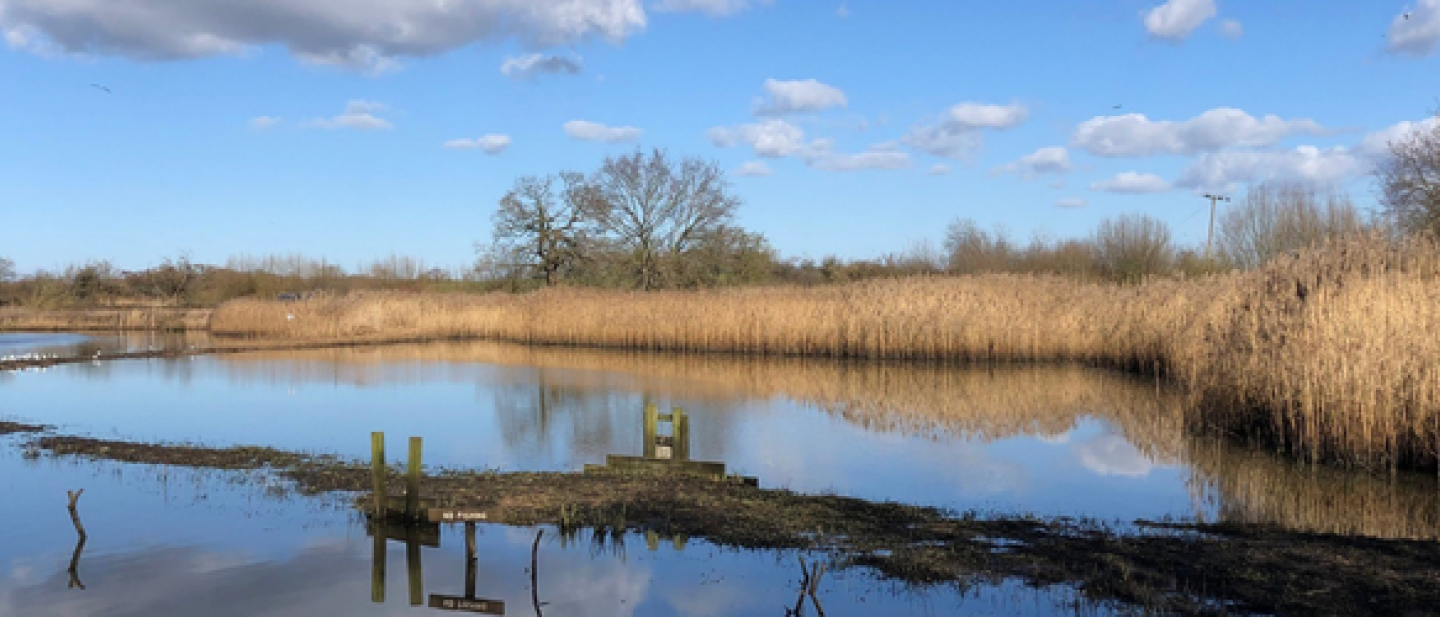 Lavell's Local Nature Reserve