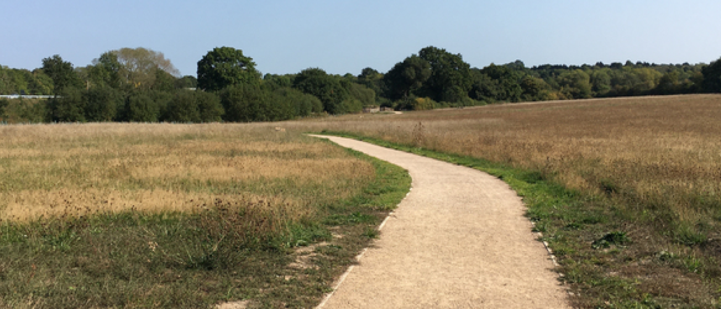 Old Forest Road