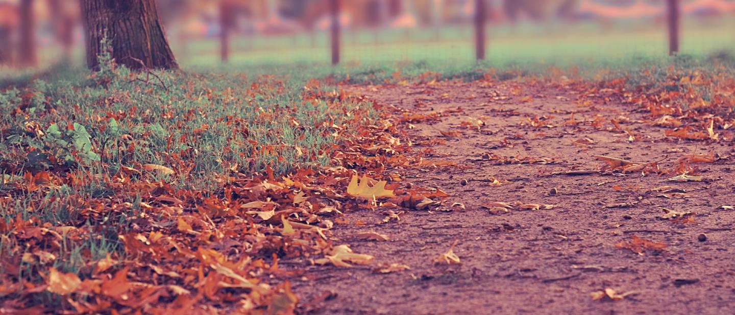 Nature parks in Wokingham