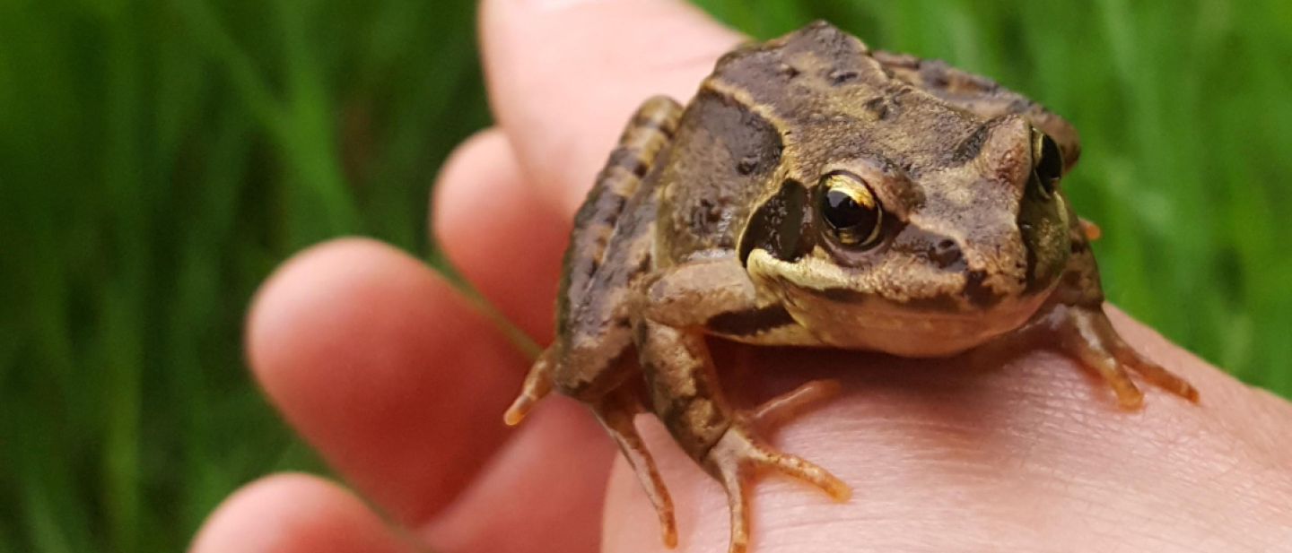 Environmental Education
