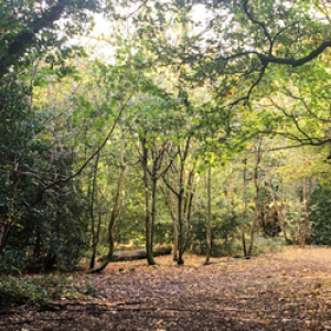 Highwood nature reserve