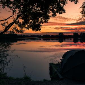 Sunset, Black Swan Lake
