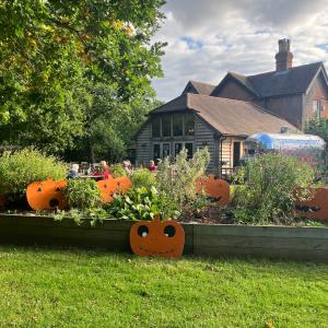 Halloween Pumpkin Hunt