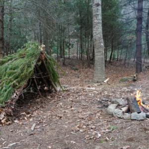 Bushcraft